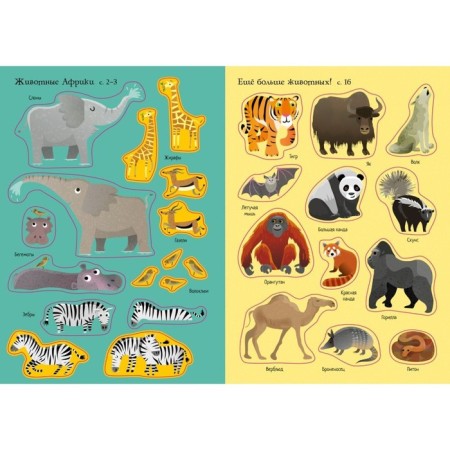 Animals-3