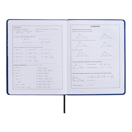 School diary for grades 1-11 Prividies, hard cover, artificial leather, foil embossing, tin-rush, liesse, 48 sheets, universal cheat sheet, block 80g/m2-9