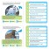 The board game-book "Box of Knowledge. Facts about animals ", 50 cards, cubes, 5+