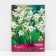 Acidanter Two-color White, 10 pcs, rr 6/8, spring 2025