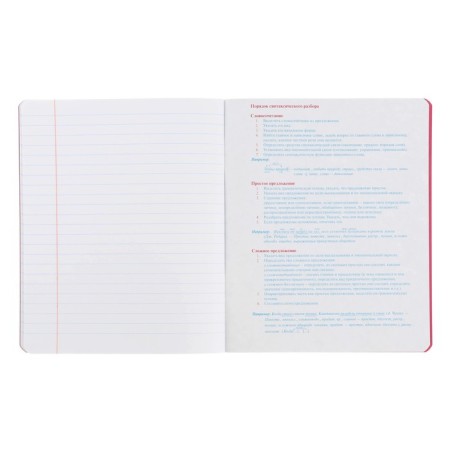 Subject notebook monocolor.element, 48 sheets in the "Russian language" line, covered cardboard, lamination of software, selective varnish, offset block 70 g/m2-4