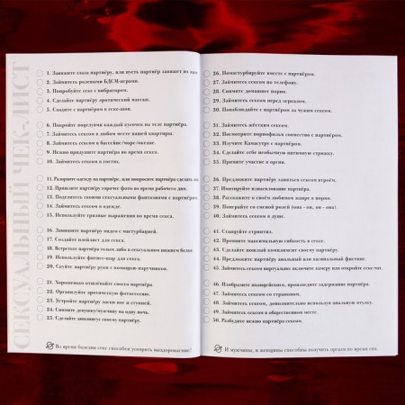 A5 nymphomaniac diary, soft cover, 50 sheets.-2