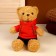 Soft toy "Bear in a blouse", color mix