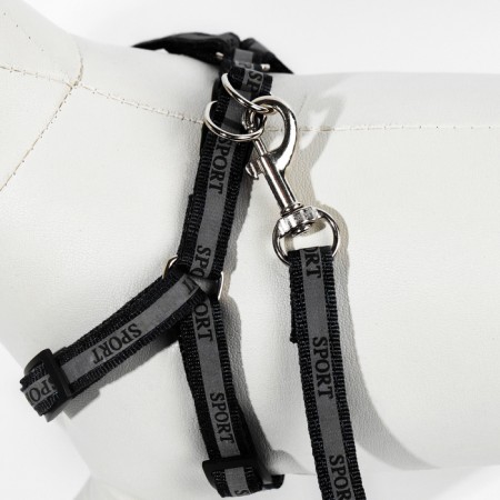 Sports set a reflective, leash 120 x 1 cm, fire 23-35 cm, black-5