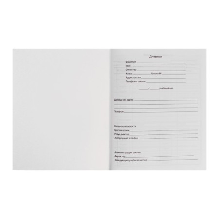 Universal diary for grades 1-11, "anime guy", soft cover, 40 sheets-3