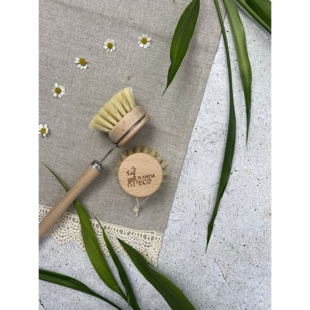 Replaceable brush Wood & AGAVA, Planeta Eco 6x4x cm cm-4