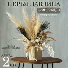 A set of peacock feathers for decor 2 pcs.