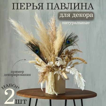 A set of peacock feathers for decor 2 pcs.