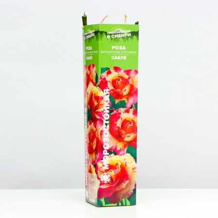 Rose Sable, Spring 2024, 1 pc.-1