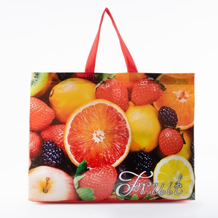 Household bag without lightning, 12 l, red color/multi -colored-1