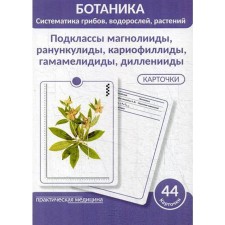 Ботаника. Систематика грибов, водорослей, растений. Луферов А.Н., Анцышкина А.М.