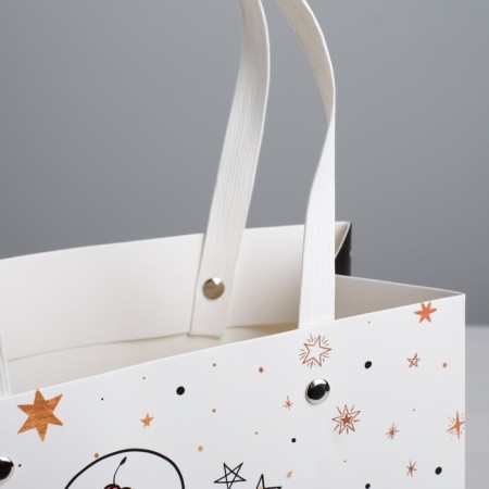 Gift package, packaging, "cat", 20 x 20 x 10 cm-2