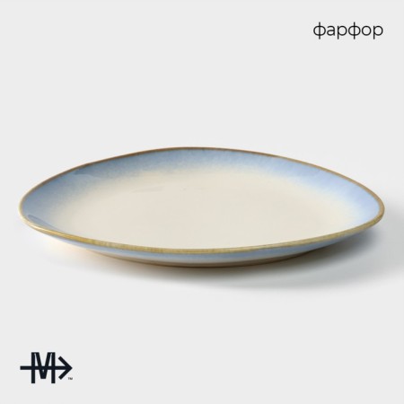 Porcelain dish for feeding Magistro "Paveti", D = 20.5 cm, Blue color-1