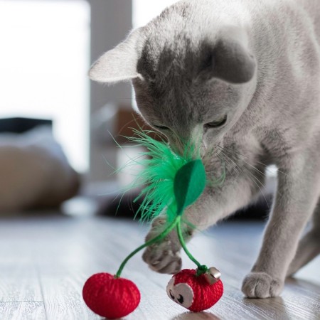 Toy Petestages dental "Cherry" for cats, with cat mint, 7 cm-2