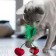 Toy Petestages dental "Cherry" for cats, with cat mint, 7 cm