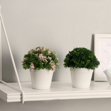 Bonsai "Small flowers" h-12 cm h pot 7 cm, mix-2