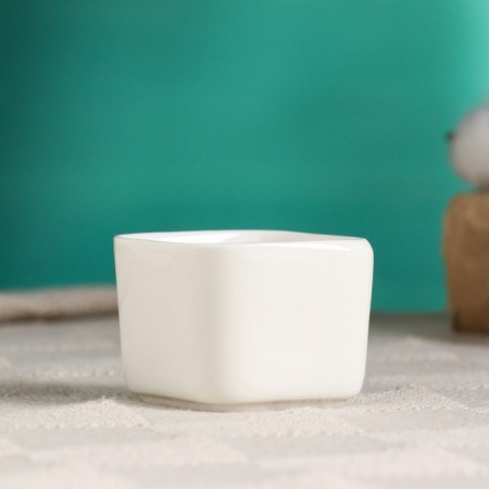 Pot "Eco" 5x4cm-1