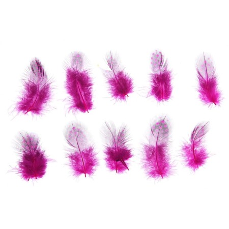 A set of feathers for decor 10 pcs., Size 1 pc: 5 × 2 cm, pink color with black