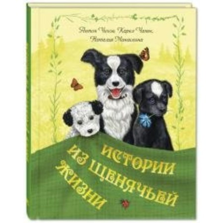 Stories from a puppy life. Team