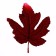 Decor "Autumn sheet" set of 15 pcs., Size 1 pc. - 9 × 11 × 0.2 cm, red color