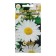 Flower seeds Niva "Alaska", large -flowered, many, 0.2 g