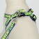 Set "Bones and Paws" reflective, leash 120 x 1.5 cm, OG 36-52 cm, blue