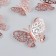 PVC sticker "Openland, copper" set 12 pcs 12 cm, 10 cm 8 cm