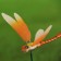 Plug "Dragonfly Molly" 40cm, mix