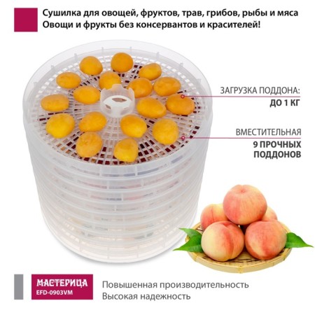 Drywall for vegetables and fruits "Castle EFD-0903VM", 280 W, 9 pallets, with transparent pallets-1