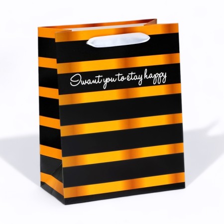 Laminated package "for you", MS 18 × 23 × 10 cm
