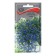 Flower flowers of lobelia climbing "sapphire" 0.1 g