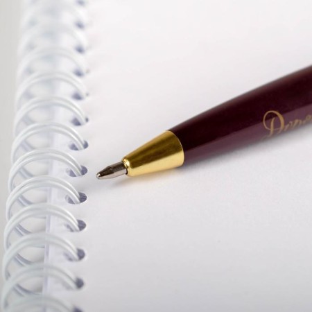 Pen "dear teacher", plastic, blue paste, 1.0 mm-3