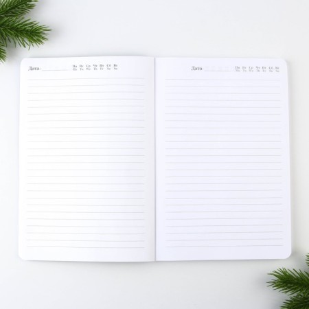 New Year. Diary Soft cover Software Tach, 24 x16.5 cm, 80 sheets of “miracles in the new year”-2