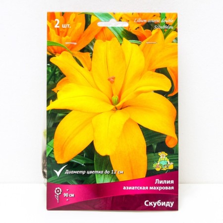 Lilia Asian terry Skubidu, 14/16 rr, 2 pcs. 90 h (cm), autumn 2024
