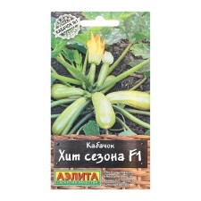 Semen zucchini tsukkini hit the season F1 Profi-Aelita Ts/p 5pcs