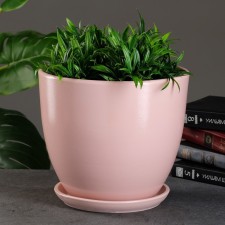Flower pot 