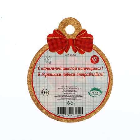 Medal "Graduate of primary school!" School supplies, 10 x 10 cm-1