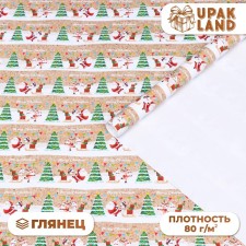 Glossy packaging paper 