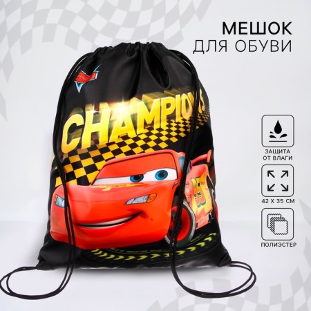 A bag for shoes with a pocket 420*350 mm, cars (soft polyester, density 210d)