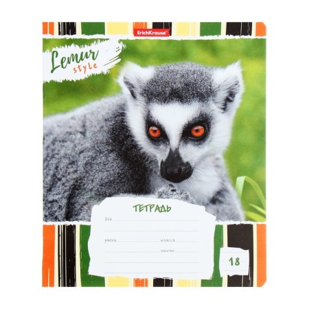 Notebook of 18 sheets in the Erichkrause Lemur Style line, cover coated cardboard, offset block, mix-6