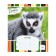 Notebook of 18 sheets in the Erichkrause Lemur Style line, cover coated cardboard, offset block, mix