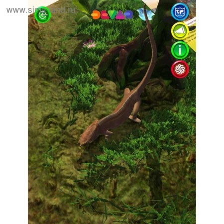 4D encyclopedia in augmented reality "Animal World"-15