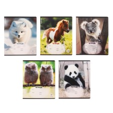 Тетрадь 18 листов в клетку ErichKrause "Пушистики", обложка мелованный картон, блок офсет, микс