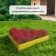 Galf flowerbed, 50 × 15 cm, yellow, “Terition”, Greengo