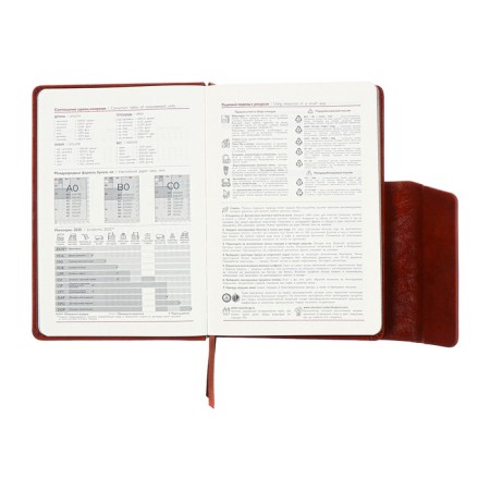 Dated 2025 diary, A5, 176 sheets of Escalada, a solid cover made of artificial leather, pancake embossing, lies, cream block 70 g/m2, brown-10