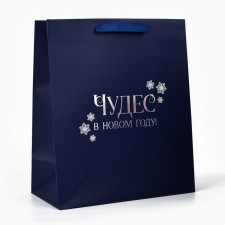 Package Gift New Year's 