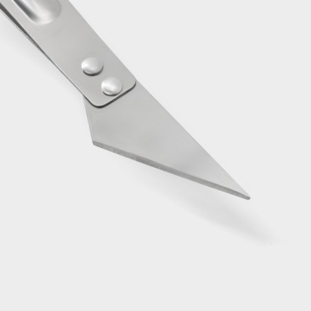 Pinzet for removing bones from the fish of the Dolyan, 14.5 cm-4