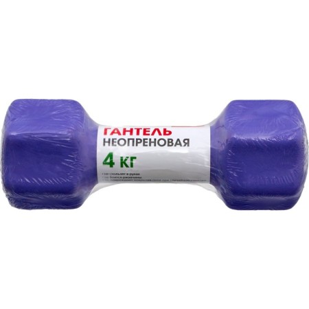 Neoprene dumbbells Bradex SF 0544, purple, 4 kg-9