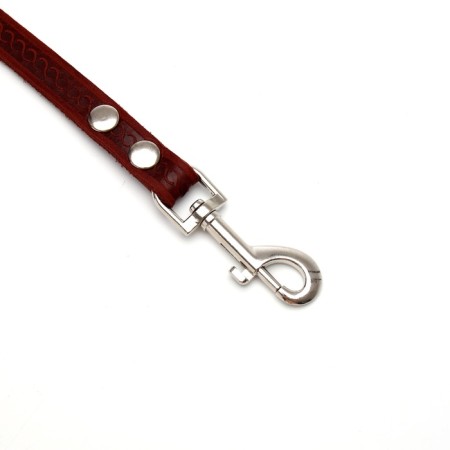 Leather leather single -layer embossed, elongated, 2 m x 1.6 cm brown-1