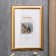 Photo frame Plastic "Mira" 20x30 cm, 211 gold (plastic screen)